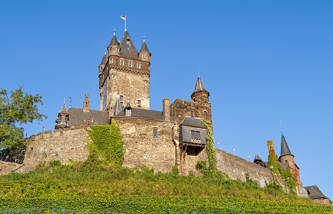 Blick auf die Reichsburg, Cochem, Mosel, Rheinland-Pfalz, Deutschland