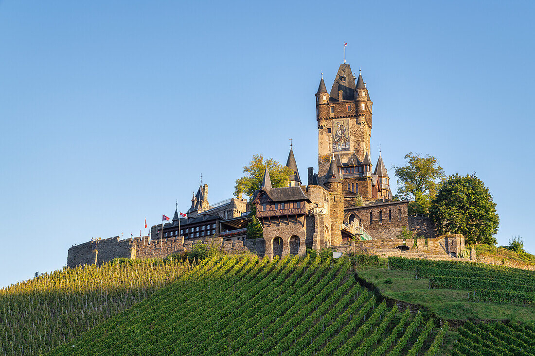 Blick auf die Reichsburg, Cochem, Mosel, Rheinland-Pfalz, Deutschland