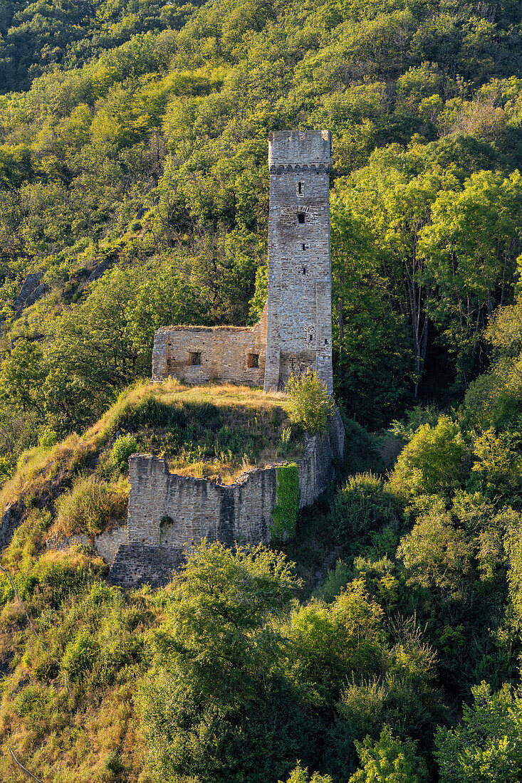 Blick auf die Philippsburg, Monreal, Landkreis Mayen-Koblenz, Rheinland-Pfalz, Deutschland