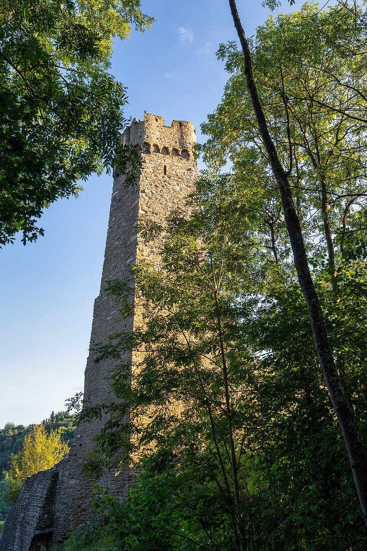 Blick auf die Philippsburg, Monreal, Landkreis Mayen-Koblenz, Rheinland-Pfalz, Deutschland