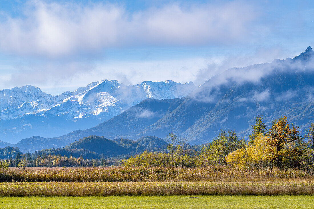  Autumn morning in the Murnauer Moos, Murnau, Bavaria, Germany, Europe 