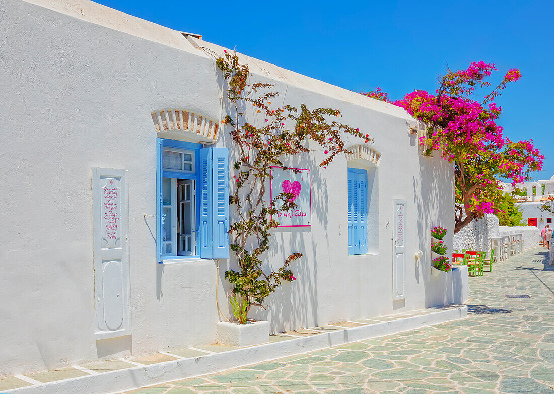 Typisches Haus mit Bougainvillea, Chora, Insel Folegandros, Kykladen, Griechenland