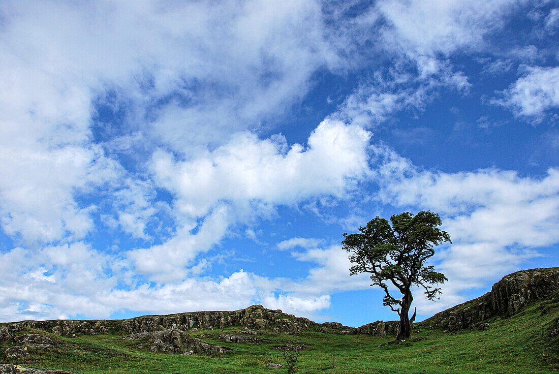  Hadrian&#39;s Wall, Scotland/England border 