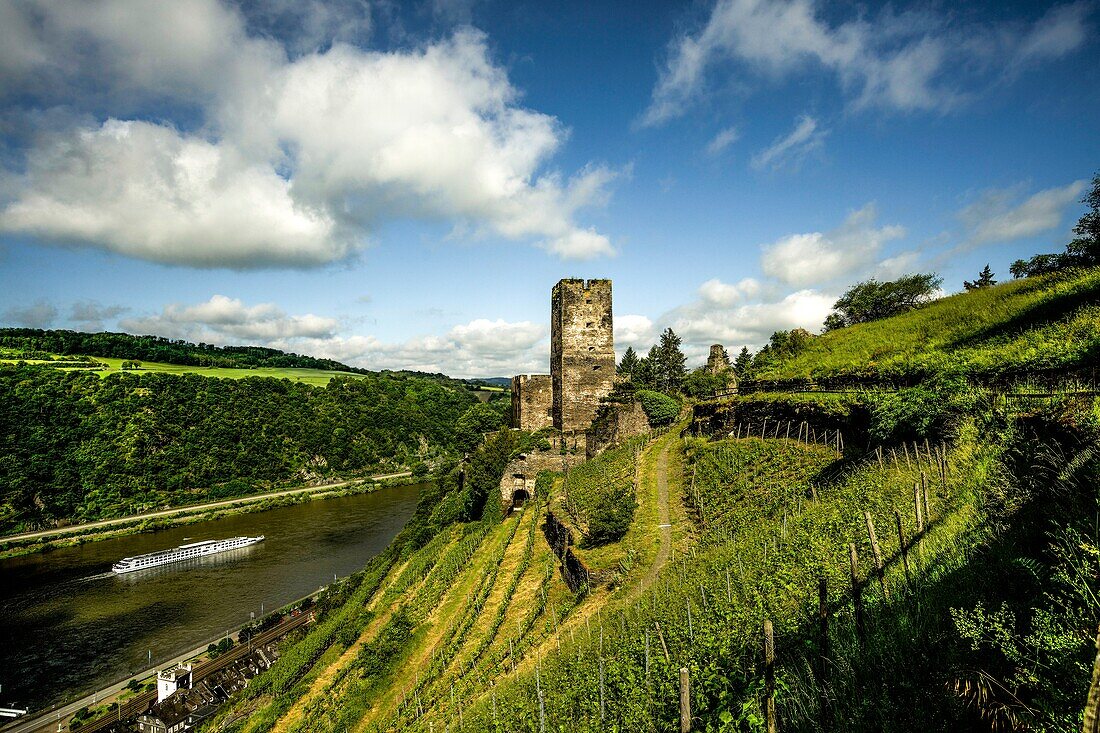  View over the vineyards near Kaub to Gutenfels Castle and the Rhine Valley with hotel ship, Upper Middle Rhine Valley, Rhineland-Palatinate, Germany 