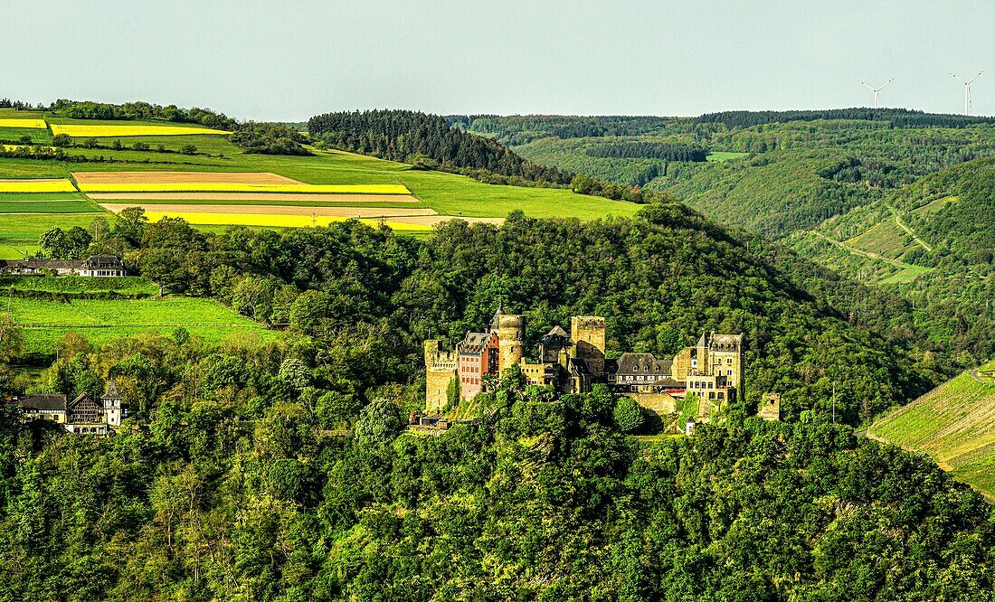 Schönburg in Oberwesel und die Rheinhöhen mit Rapsfeldern, Oberes Mittelrheintal, Rheinland-Pfalz, Deutschland