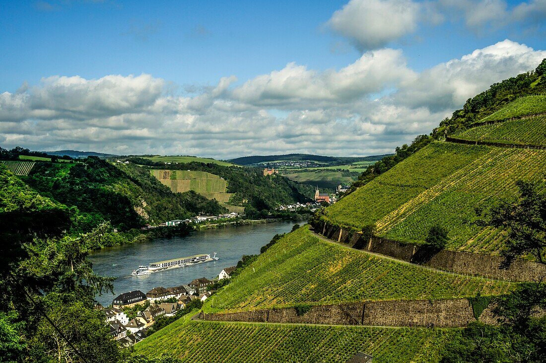  View over the vineyards of Kaub and into the Rhine Valley, in the background Schönburg and Liebfrauenkirche in Oberwesel, Upper Middle Rhine Valley, Rhineland-Palatinate, Germany 