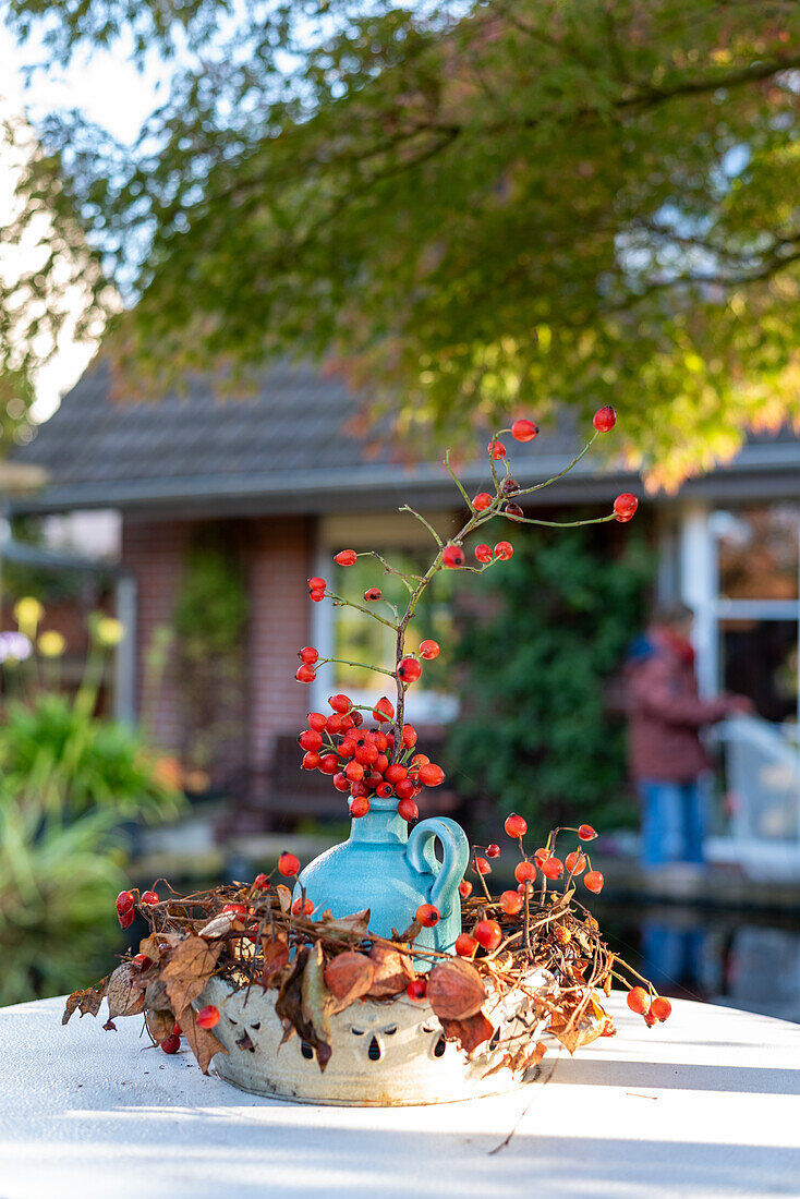  Vase with rose hips, autumn decoration, garden, Germany 