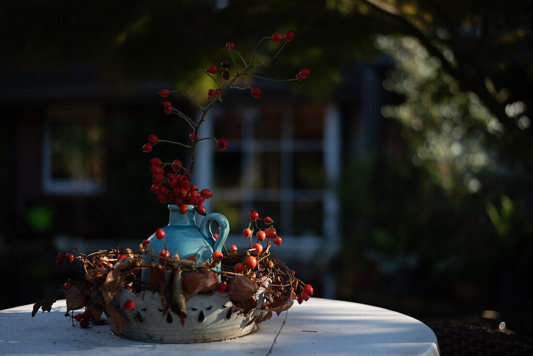  Vase with rose hips, autumn decoration, garden, Germany 