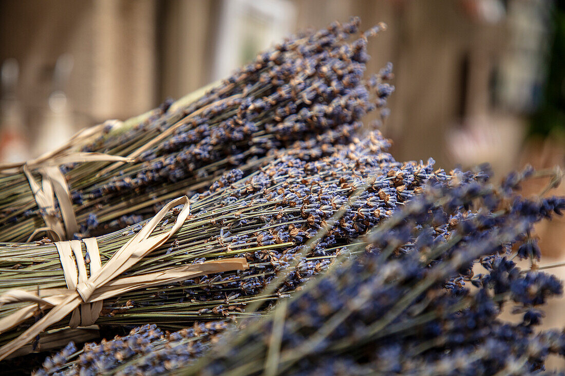  Lavender tied for sale in Les Baux de Provence, Provence-Alpes-Côte d&#39;Azur, France 