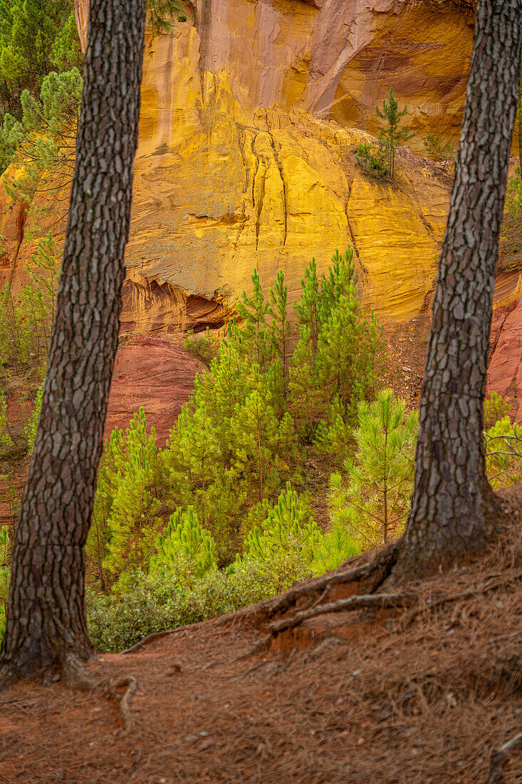 Ockerlehrpfad im ehemaligen Ockersteinbruch bei Roussillon, Département Vaucluse; Provence-Alpes-Côte d’Azur, Frankreich.