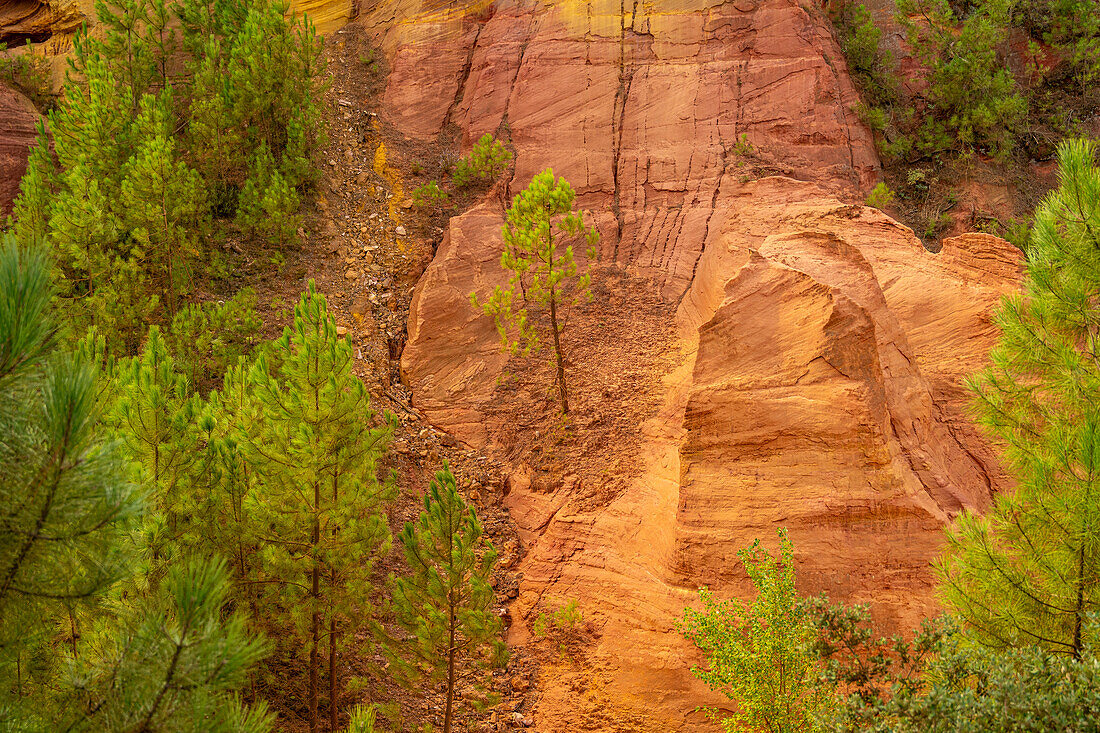  Ochre educational trail in the former ochre quarry near Roussillon, Vaucluse department; Provence-Alpes-Côte d&#39;Azur, France. 