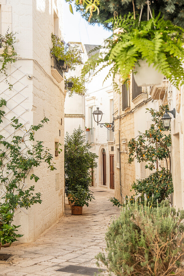 Charming narrow streets of Locorotondo, Puglia, Italy.