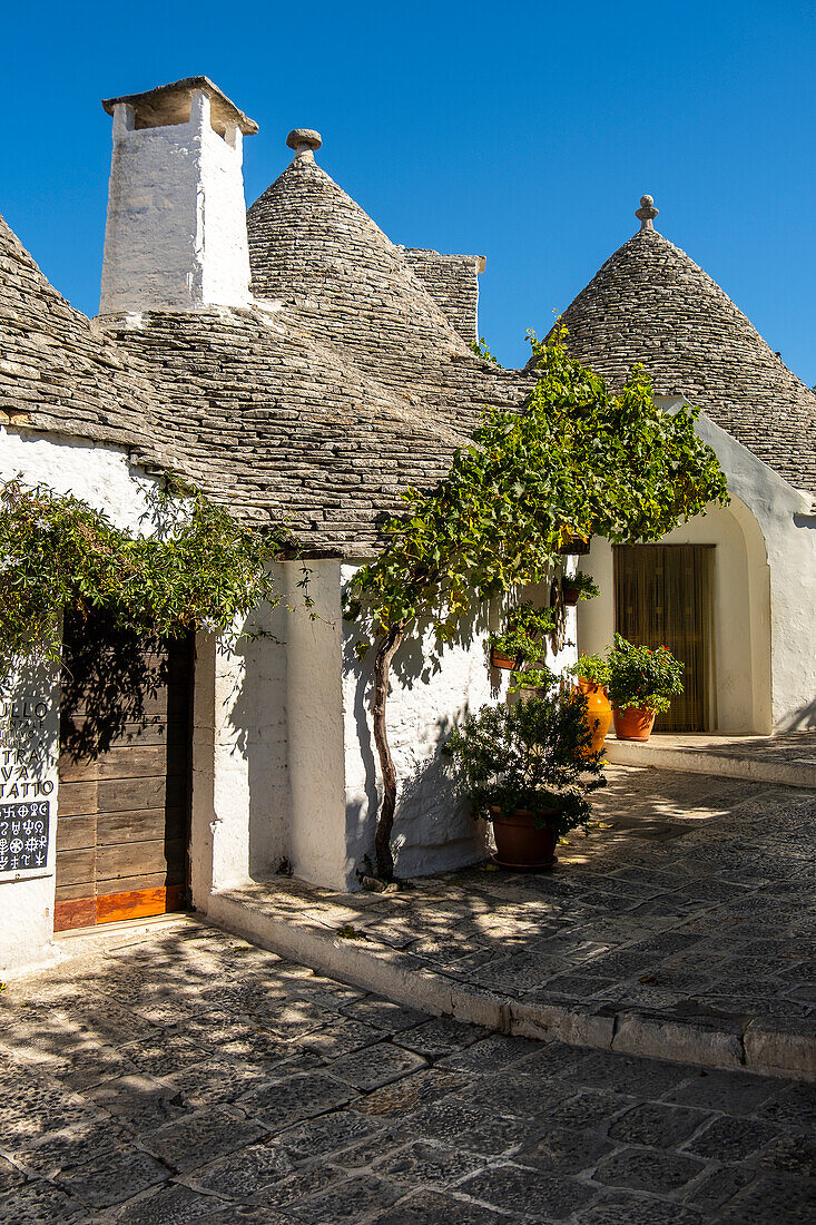 Straßen voller Trulli-Häuser, Pflanzen und Blumen in Alberobello, Apulien, Italien.