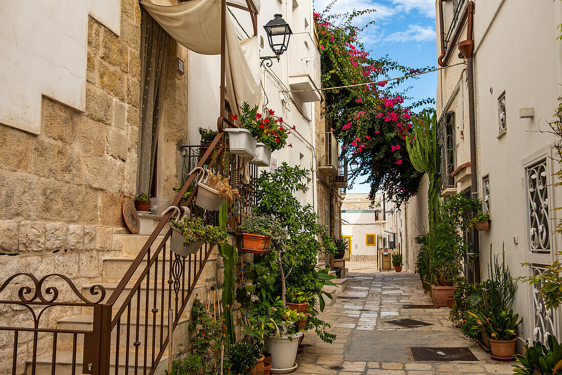 Charming narrow streets of Polignano a Mare, Puglia, Italy.