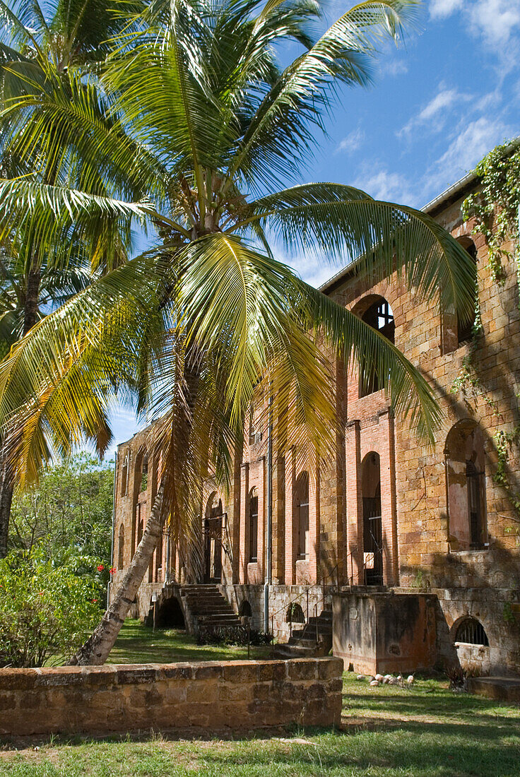 remains of the former penal colony hospital, Ile Royale,Iles du Salut (Islands of Salvation),French Guiana,overseas department and region of France,Atlantic coast of South America