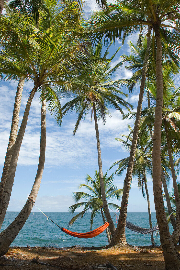 Chemin de la Pointe des Cayes, Ile Royale, Iles du Salut, Französisch Guayana, Überseedepartement Frankreichs