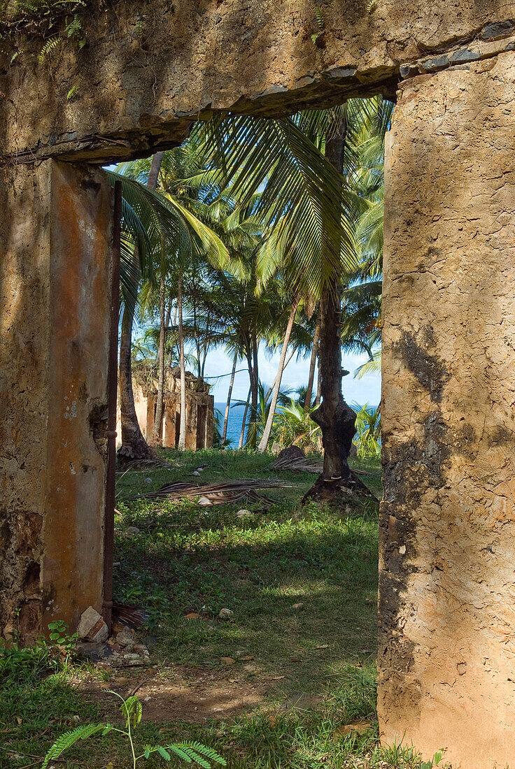 ruined cells of penal colony on Ile Saint-Joseph,Iles du Salut (Islands of Salvation),French Guiana,overseas department and region of France,Atlantic coast of South America