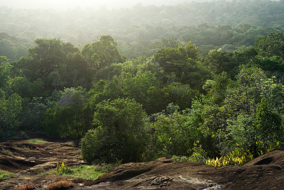 vew over the forest canopy from an inselberg,French Guiana,overseas department and region of France,Atlantic coast of South America