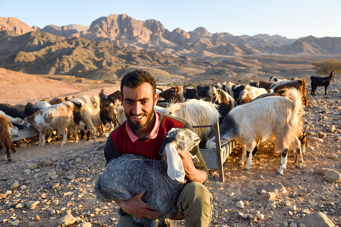 Hirte und Ziegenherde, Beduinenlager in der Nähe von Wadi Dana und Araba-Tal, Dana-Biosphärenreservat, Jordanien, Naher Osten, südliche Levante, Westasien