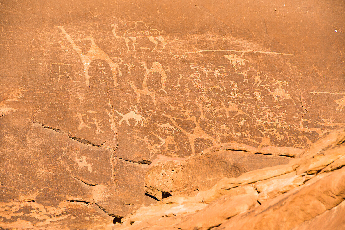 Petroglyphs at  Wadi Rum, UNESCO World Heritage site, Jordan, Near East, Southern Levant, West Asia