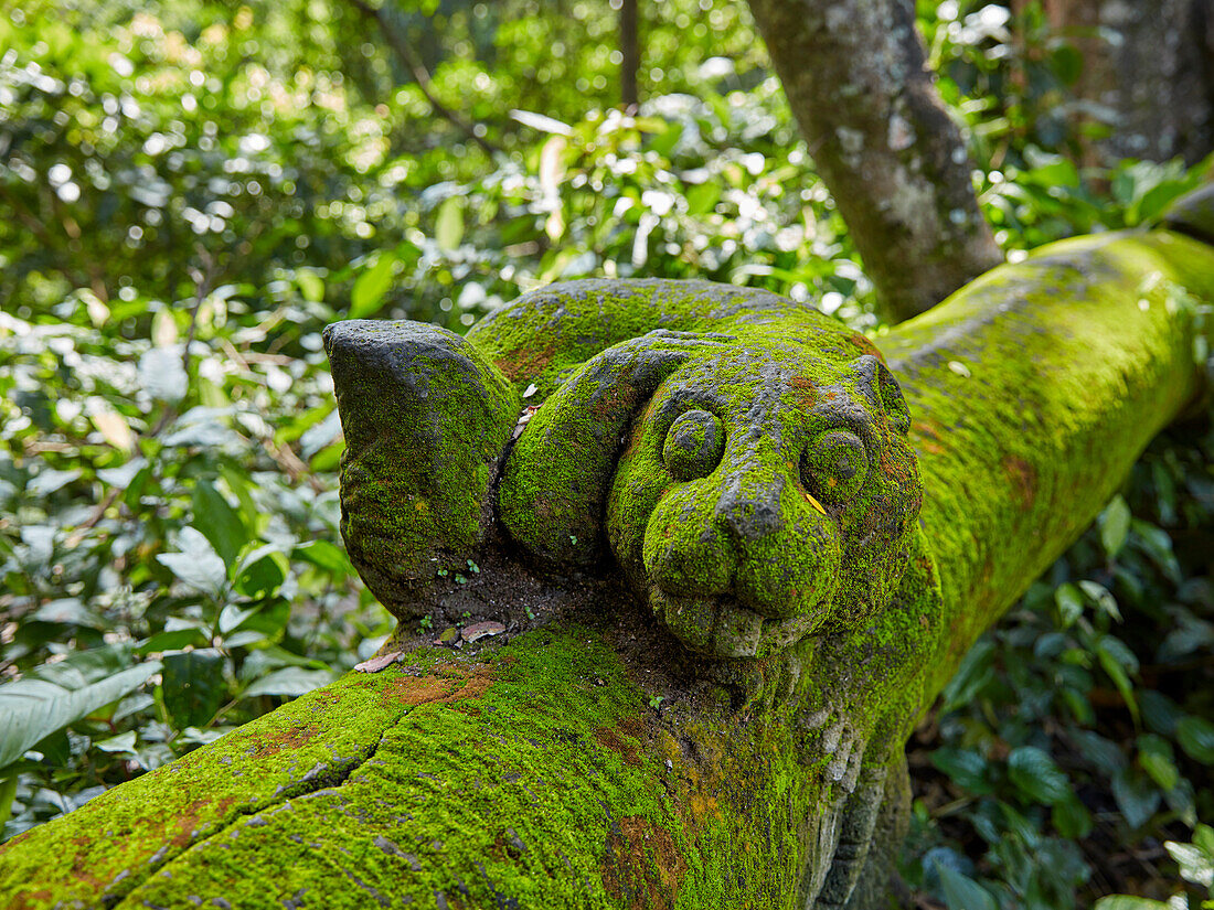  Moosbedeckte Steinstatue im Heiligen Affenwald-Schutzgebiet. Ubud, Bali, Indonesien. 