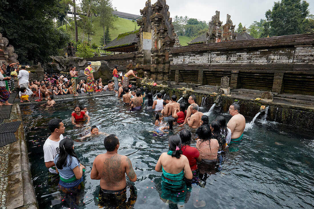  Menschen stehen Schlange, um in der heiligen Quelle eine rituelle Reinigung vorzunehmen. Tirta-Empul-Tempel, Tampaksiring, Bali, Indonesien. 