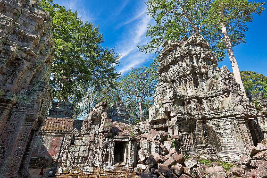  Ruinen des antiken Ta Prohm-Tempels. Archäologischer Park Angkor, Provinz Siem Reap, Kambodscha. 