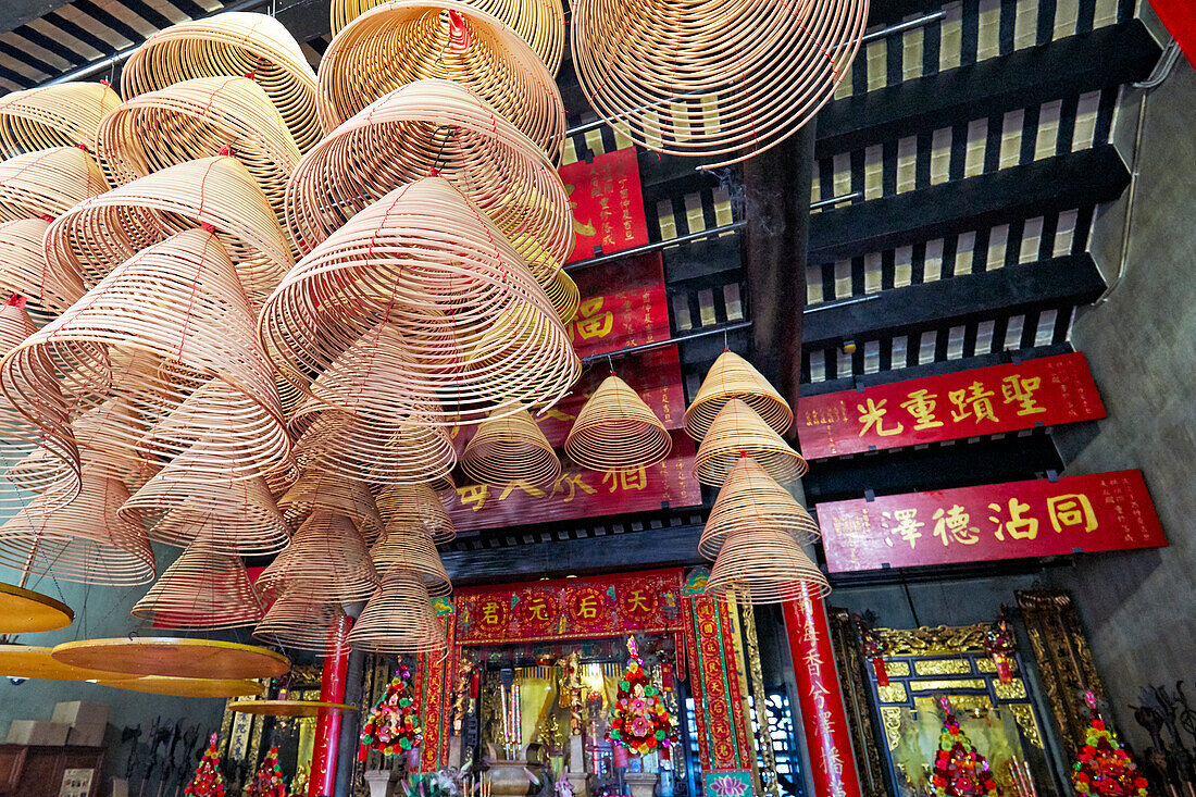  Große Weihrauchspiralen hängen von der Decke im buddhistischen Pavillon Zhengjiao Chanlin im A-Ma-Tempel. Macau, China. 