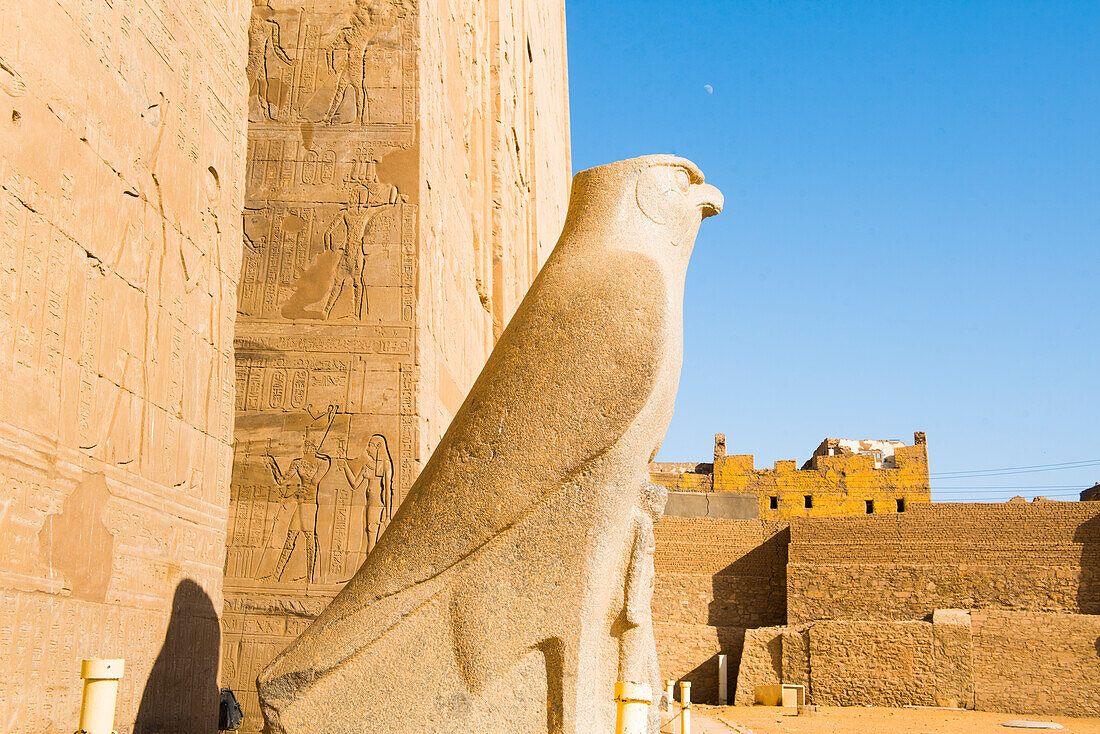 Statue des Horus neben dem ersten Pylon, Tempel von Edfu, Edfu, Oberägypten, Ägypten, Nordafrika