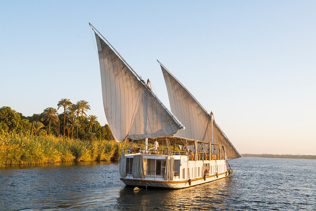 Dahabeah Schiff unter Segeln, Passagier-Flussschiff der Lazuli-Flotte, auf dem Nil bei Sonnenuntergang, bei Assuan, Ägypten, Nordostafrika