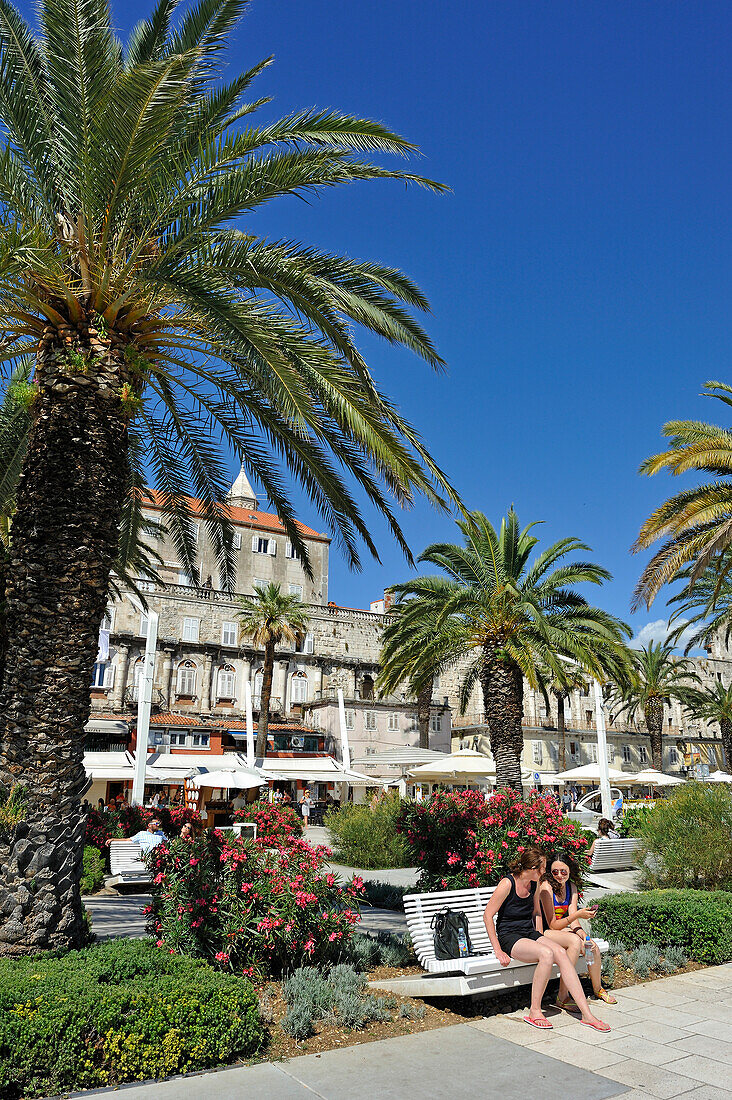 Palmenallee an der Riva Strandpromenade und Altstadt, Split, Dalmatien, Kroatien, Südosteuropa