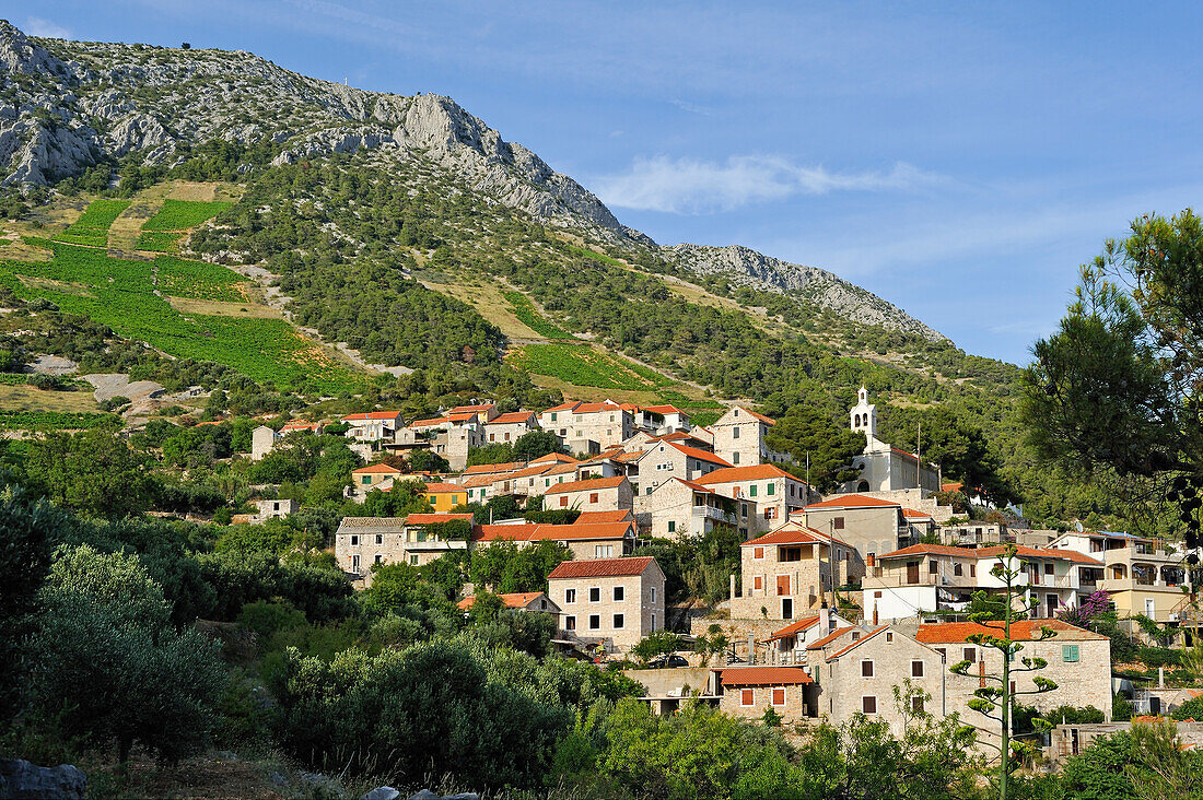 Bergdorf Sveta Nedjelja, südlicher Teil der Insel Hvar,  Dalmatien, Kroatien, Südosteuropa