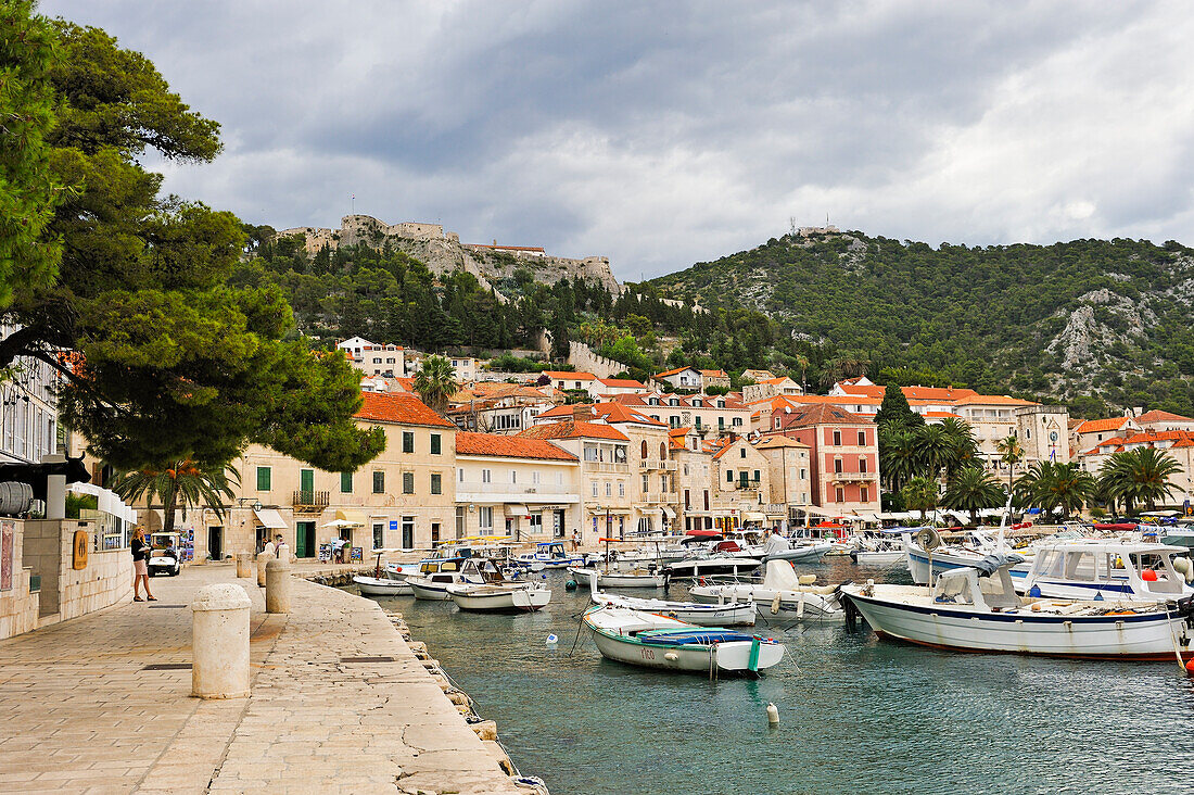 Hafen und Altstadt mit Burg, Stadt Hvar, Insel Hvar, Dalmatien, Kroatien, Südosteuropa