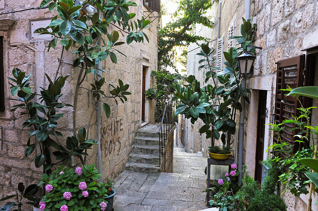 Enge Gasse der Altstadt von Korcula, Insel Korcula, bei Dubrovnik, Dalmatien, Kroatien, Südosteuropa