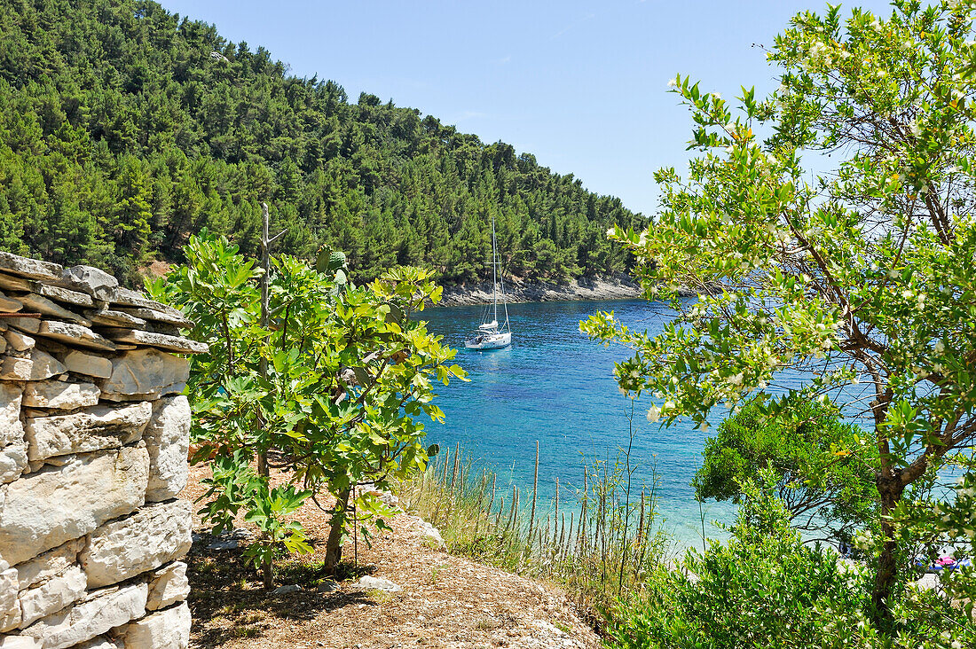 Blick auf Strand der Bucht Pupnatska Luka, Pupnat, Insel Korcula, bei Dubrovnik, Dalmatien, Kroatien, Südosteuropa