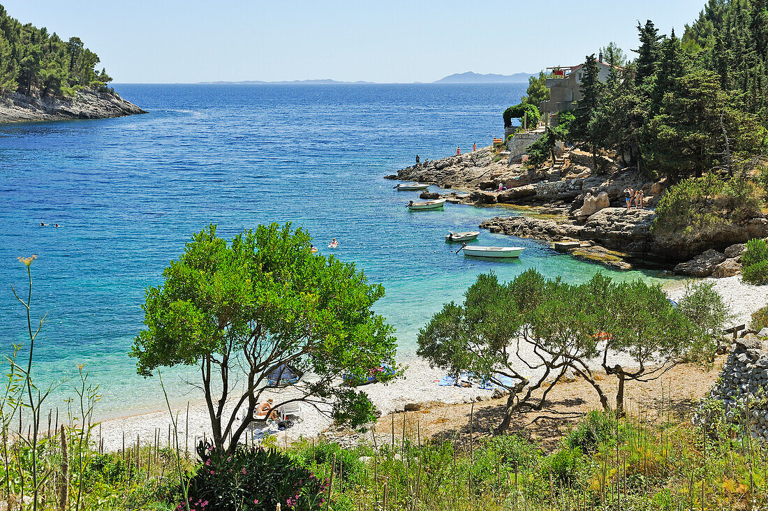 beach of Pupnatska luka bay, Pupnat, Korcula island, Croatia, Southeast Europe