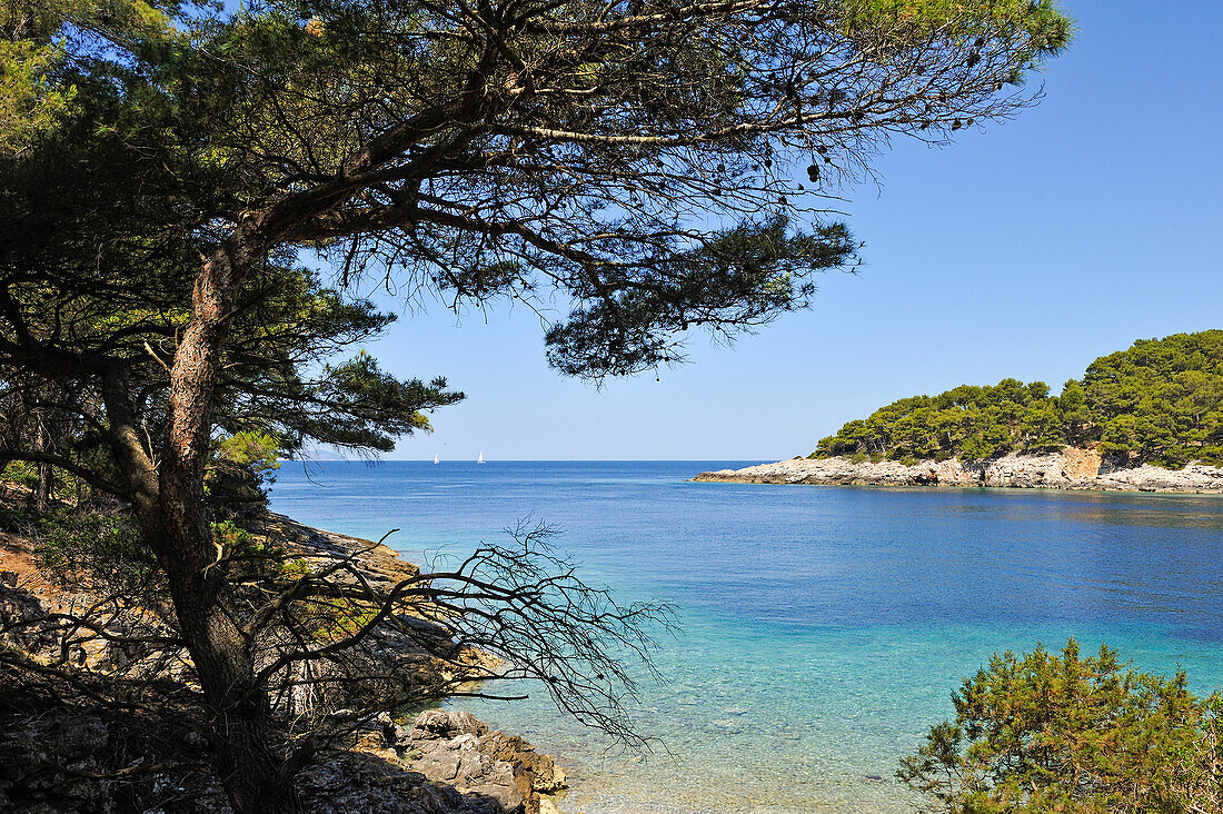 Bucht der kleinen Insel Mrcara im Westen der Insel Lastovo, bei Dubrovnik, Kroatien, Dalmatien, Südosteuropa