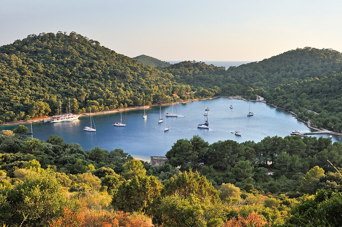 Blick auf Bucht Jurjeva Luka am Abend, Pasadur, Insel Lastovo, bei Dubrovnik, Kroatien, Dalmatien, Südosteuropa