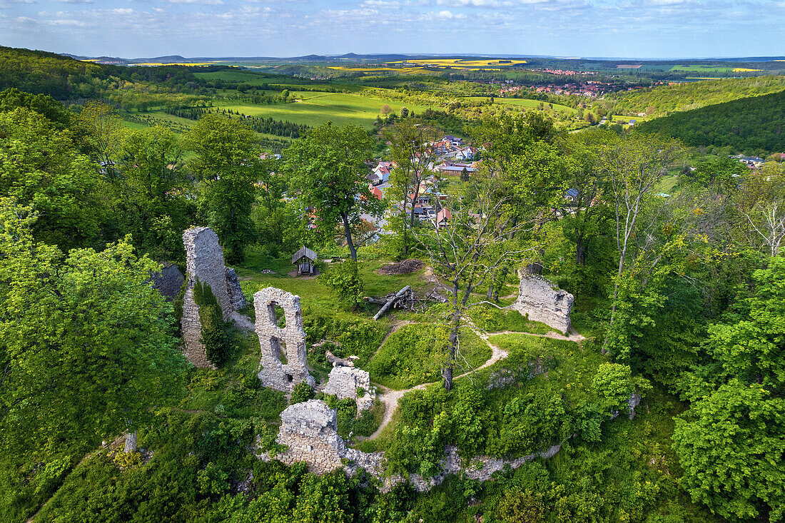 Sommer, Luftaufnahme, Wald, Burg, Burgruine, Stecklenberg, Harz, Sachsen-Anhalt, Deutschland, Europa