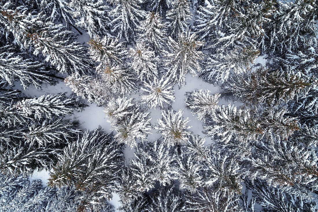  Winter, aerial photography, mountain, forest, Harz, High Harz, Saxony-Anhalt, Germany, Europe 