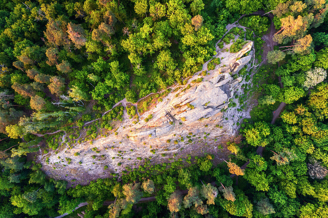 Sommer, Luftaufnahme, Klus, Klusfelsen, Halberstadt, Harz, Sachsen-Anhalt, Deutschland, Europa