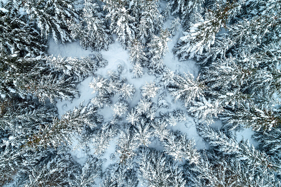  Winter, aerial photography, mountain, forest, Harz, High Harz, Saxony-Anhalt, Germany, Europe 