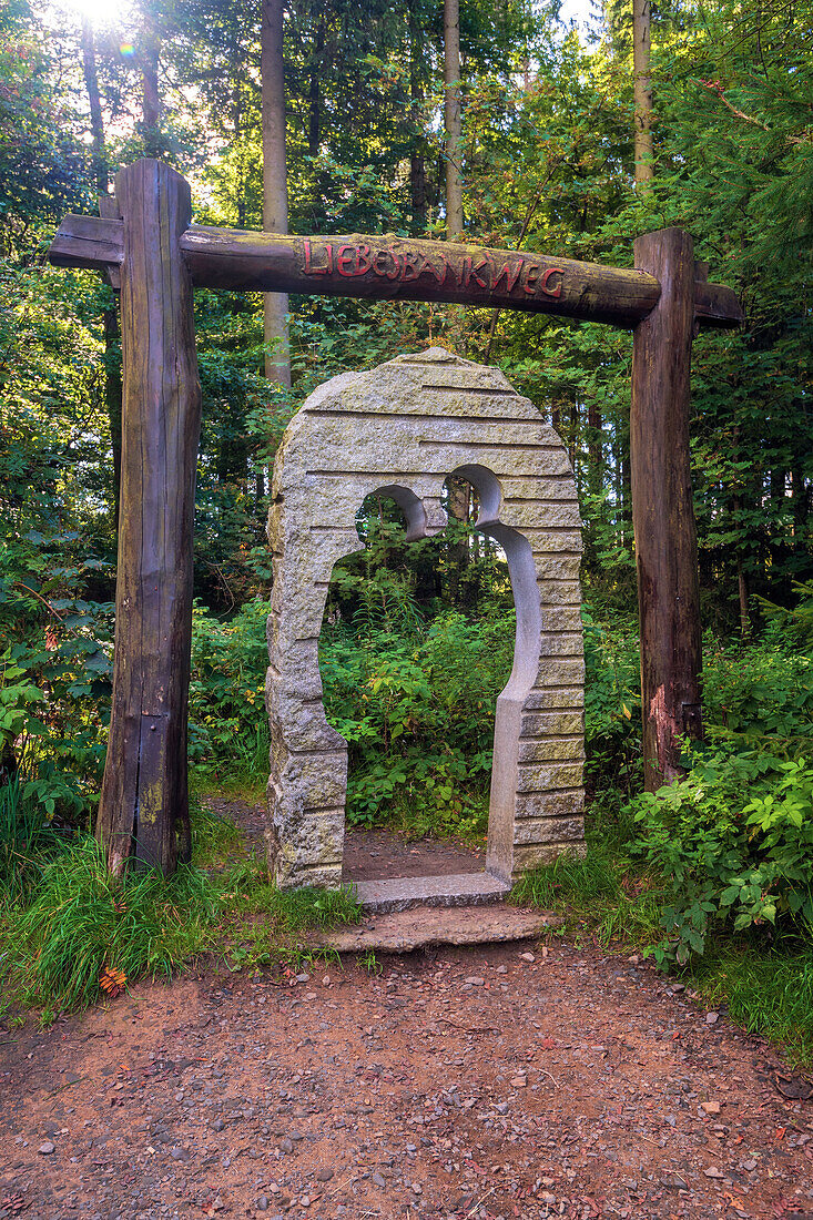 Berg, Wald, Liebesbankweg, Bocksberg, Hahnenklee, Harz, Niedersachsen, Deutschland, Europa