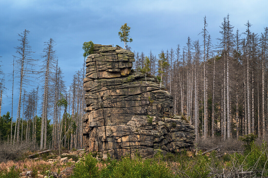 Feuerstein, Klippe, Felsen, Sagenhaft, Schierke, Harz, Sachsen-Anhalt, Deutschland, Europa