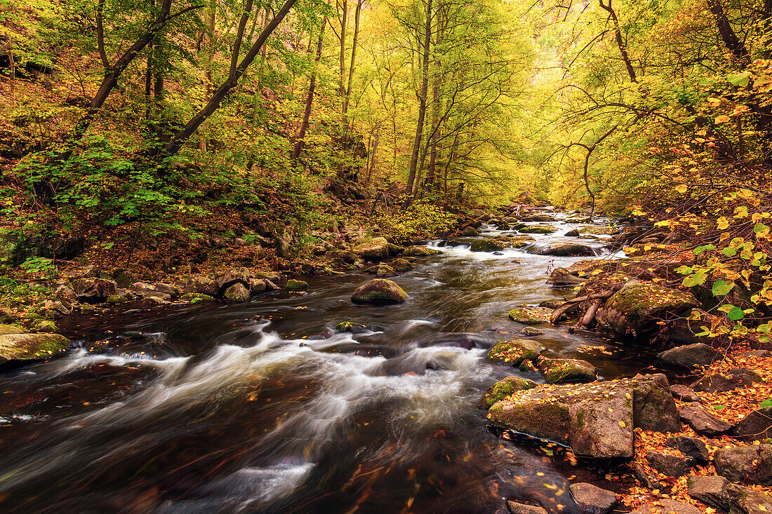  Bode, Bodetal, river, foliage, autumn, hiking, forest, Thale, Harz, Saxony-Anhalt, Germany, Europe 