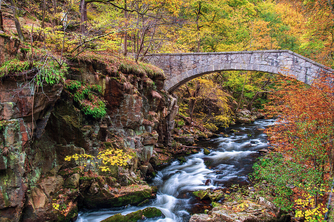 Bode, Bodetal, Fluss, Laubfärbung, Herbst, Wandern, Wald, Thale, Harz, Sachsen-Anhalt, Deutschland, Europa