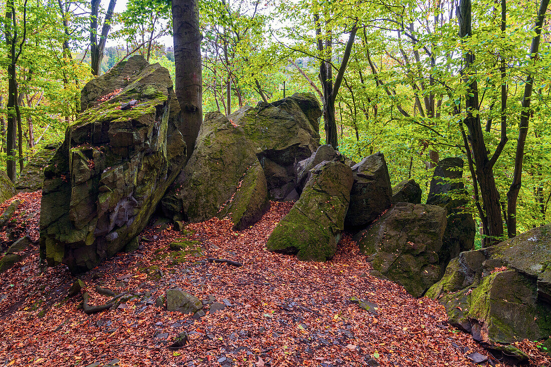 Schwert, Felsen, Wald, Sage, Rammeburg, Südharz, Harz, Sachsen-Anhalt, Deutschland, Europa