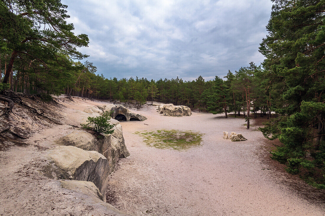 Höhlen, Sandstein, Heers, Heerswald, Halberstadt, Harz, Sachsen-Anhalt, Deutschland, Europa