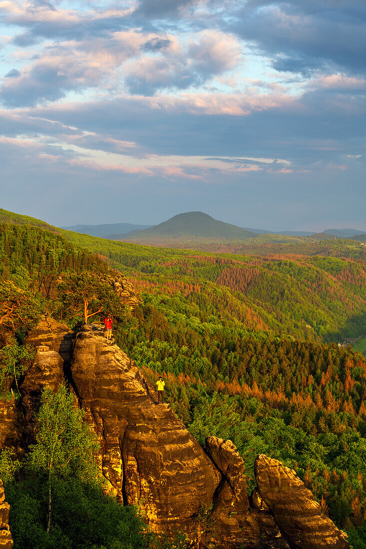  sunset, golden hour, cliffs, forest, Schrammsteine, Saxon Switzerland, Saxony, Germany, Europe 