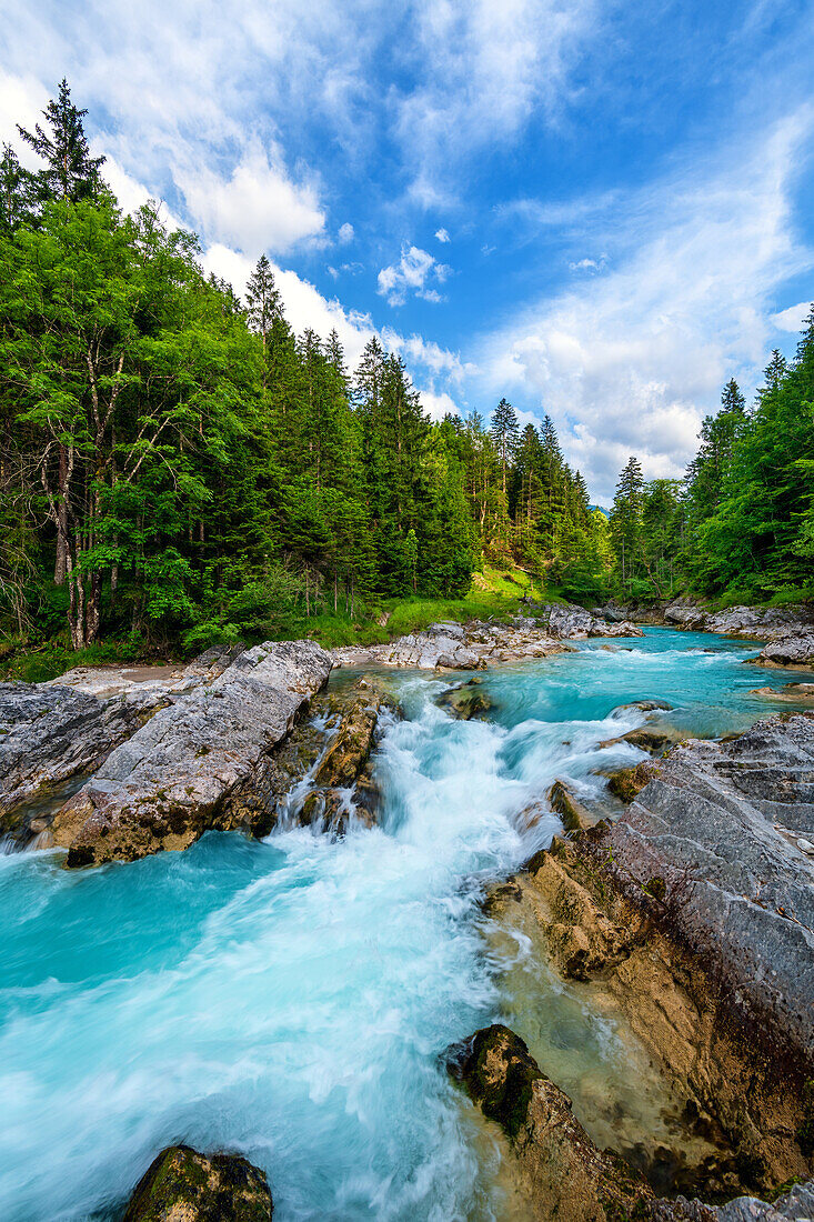  Forest, water, river, waterfall, valley, wild river landscape Isar, RiÃŸbach, Bavaria, Germany, Europe 